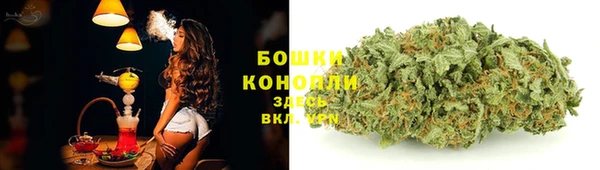 гидра Балабаново